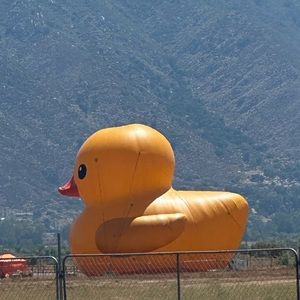 Meet your Posher, Juan